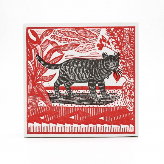 Cutie Chibrituri - Sasha The Cat