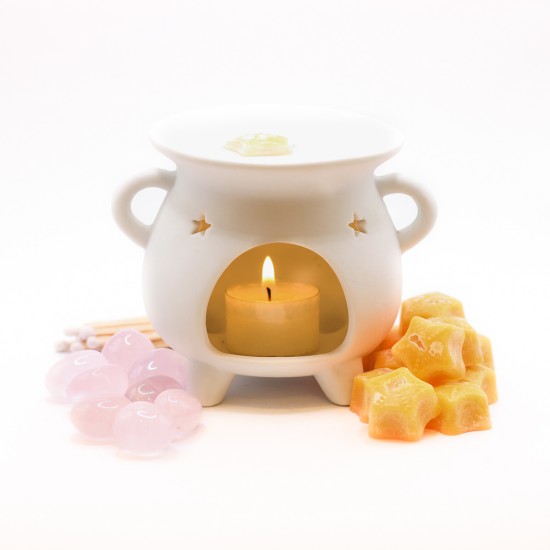 Steluță Parfumată Ceară Palmier - Frosted Apricot Ginger