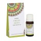 Ulei Parfumat Goloka - Fresh Mint