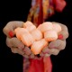 imagine pentru produsul Sare Baie Chill Pills Fresh Orange Sare Baie Chill Pills Fresh Orange imagine