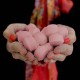 Sare Baie Chill Pills Passion Fruit